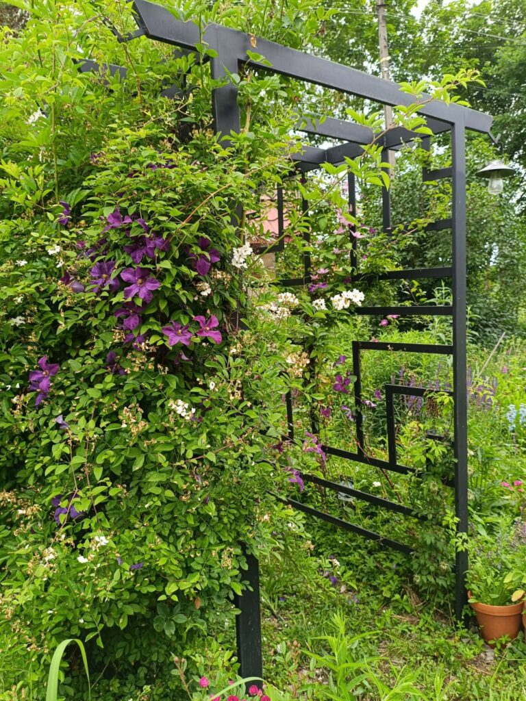 Duża Pergola Ogrodowa – Solidna Konstrukcja Stalowa na Wymiar